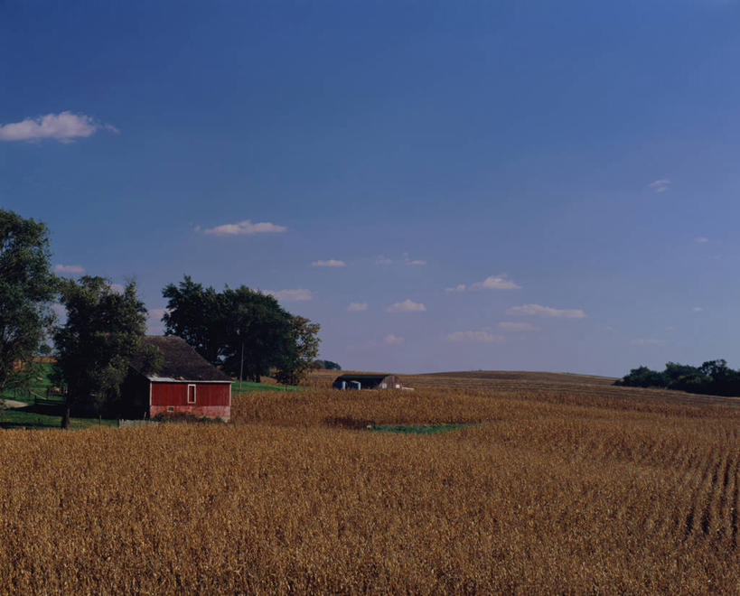 无人,家,木屋,农田,横图,室外,白天,正面,旅游,度假,庄稼,农作物,美景,树林,植物,美国,阴影,光线,影子,景观,云,云朵,云彩,娱乐,住宅,树,树木,蓝色,绿色,白云,蓝天,天空,阳光,自然,天,享受,休闲,景色,放松,生长,晴朗,成长,北美,北美洲,自然风光,美洲,北亚美利加洲,亚美利加洲,爱荷华州,艾奥瓦,艾奥瓦州,爱我华州,衣阿华州,鹰眼州,美国粮仓,晴空,彩图,耕地,庄稼田,茅舍,茅屋,棚屋,小木屋,小屋