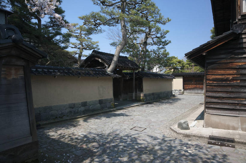 无人,家,横图,室外,白天,正面,旅游,度假,幸福,纯洁,植物,标志建筑,道路,地标,建筑,路,樱花,日本,亚洲,阴影,盛开,光线,影子,房屋,墙,屋子,小路,交通,花蕾,娱乐,建设,楼房,墙壁,墙面,住宅,花,花瓣,花朵,鲜花,树,树木,蓝色,绿色,蓝天,天空,阳光,自然,天,花苞,花蕊,享受,休闲,旅游胜地,放松,生长,晴朗,成长,等待,生命,东亚,本州,万里无云,本州岛,日本国,金沢,金沢市,石川,石川县,中部地方,仙樱花,福岛樱,青肤樱,高尚,县厅,热烈,晴空,晴空万里,荆桃,彩图,房子