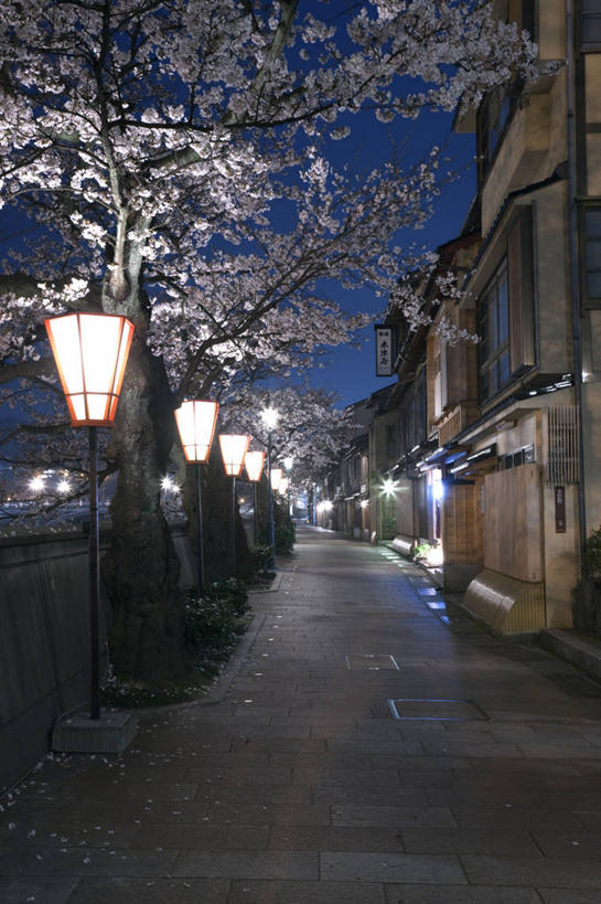 无人,家,木屋,竖图,室外,夜晚,仰视,旅游,度假,幸福,纯洁,标志建筑,道路,地标,建筑,路,路灯,樱花,照明,日本,亚洲,阴影,盛开,光线,影子,小路,灯光,交通,花蕾,娱乐,建设,住宅,灯,花,花瓣,花朵,鲜花,蓝色,蓝天,天空,天,花苞,花蕊,享受,休闲,旅游胜地,放松,晴朗,等待,照亮,生命,照明设备,东亚,本州,万里无云,本州岛,日本国,金沢,金沢市,石川,石川县,中部地方,仙樱花,福岛樱,青肤樱,高尚,县厅,热烈,茶屋街,晴空,晴空万里,荆桃,彩图,低角度拍摄,茅舍,茅屋,棚屋,小木屋,小屋