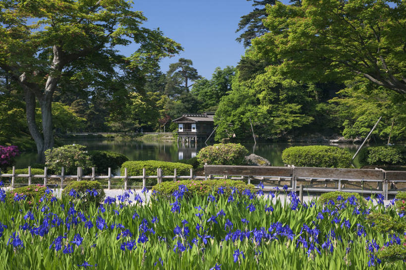 无人,栏杆,横图,室外,白天,正面,旅游,度假,草地,草坪,花海,花圃,植物,标志建筑,地标,建筑,叶子,日本,亚洲,阴影,盛开,光线,影子,围栏,草药,花蕾,娱乐,建设,护栏,中药,草,花,花瓣,花朵,花卉,鲜花,树,树木,蓝色,绿色,紫色,蓝天,天空,阳光,自然,花丛,花束,花田,天,花苞,花蕊,享受,休闲,旅游胜地,放松,生长,晴朗,成长,鸢尾,药材,中草药,东亚,中药材,本草,本州,万里无云,本州岛,日本国,金沢,金沢市,石川,石川县,中部地方,兼六园,紫蝴蝶,蓝蝴蝶,乌鸢,扁竹花,县厅,晴空,晴空万里,彩图