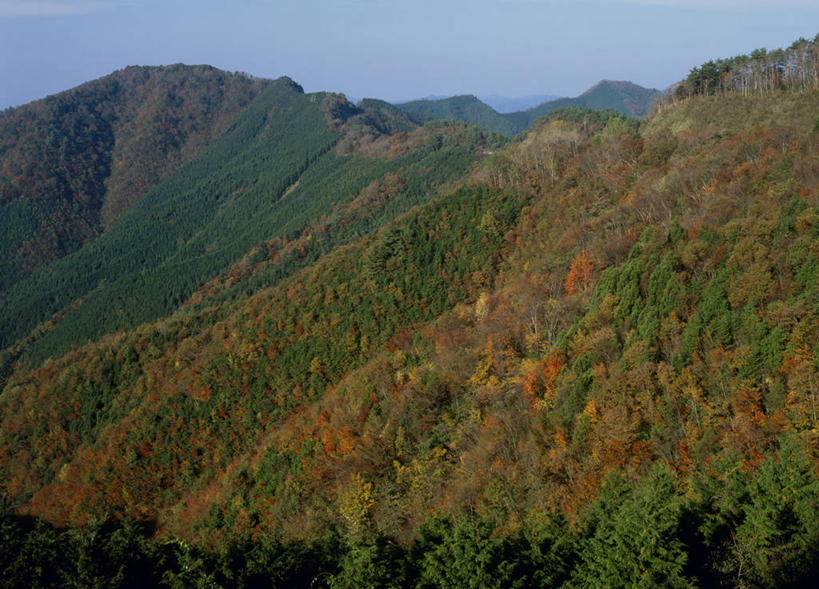 无人,横图,俯视,室外,白天,旅游,度假,石头,美景,秋季,森林,山,山脉,树林,植物,叶子,日本,亚洲,阴影,光线,石子,影子,景观,山峰,枯叶,落叶,山峦,娱乐,树,树木,蓝色,绿色,蓝天,天空,阳光,自然,群山,天,享受,休闲,景色,放松,生长,晴朗,成长,自然风光,东亚,本州,万里无云,本州岛,日本国,近畿地方,近畿,和歌山,和歌山县,叶,叶片,石块,岩石,晴空,晴空万里,秋,秋天,彩图,高角度拍摄,纪伊半岛,有田