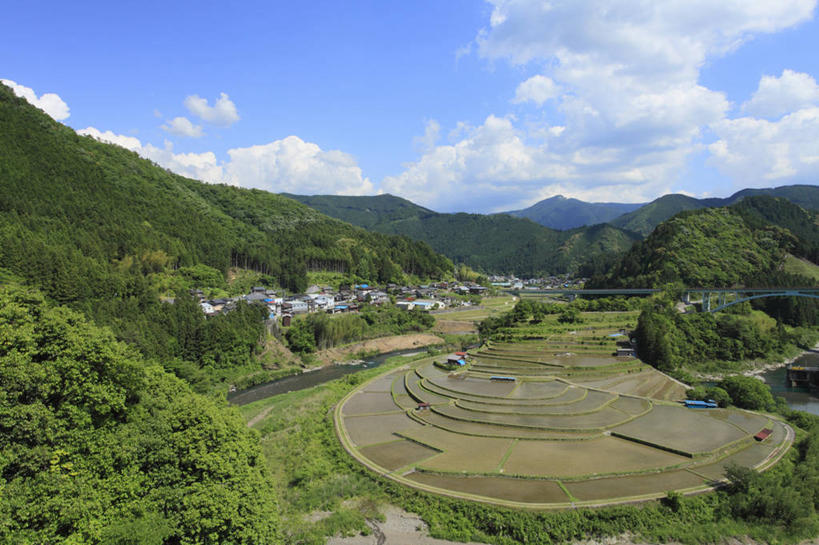 无人,农田,横图,俯视,室外,白天,旅游,度假,庄稼,梯田,农作物,美景,森林,山,山脉,树林,植物,日本,亚洲,阴影,曲折,弯曲,光线,影子,稻田,景观,山峰,云,云朵,山峦,云彩,娱乐,树,树木,蓝色,绿色,白云,蓝天,天空,阳光,自然,群山,天,享受,休闲,景色,放松,蜿蜒,生长,晴朗,成长,自然风光,东亚,本州,本州岛,日本国,近畿地方,近畿,和歌山,和歌山县,晴空,彩图,高角度拍摄,耕地,庄稼田,纪伊半岛,有田