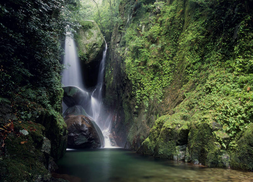 无人,横图,室外,白天,正面,旅游,度假,石头,美景,瀑布,森林,树林,水,植物,日本,亚洲,飞溅,溅,石子,液体,景观,水滴,悬崖,娱乐,水珠,树,树木,绿色,自然,享受,休闲,景色,放松,生长,成长,喷洒,自然风光,东亚,本州,本州岛,日本国,近畿地方,近畿,和歌山,和歌山县,绝壁,跌水,石块,岩石,彩图,东牟娄郡,那智胜浦町