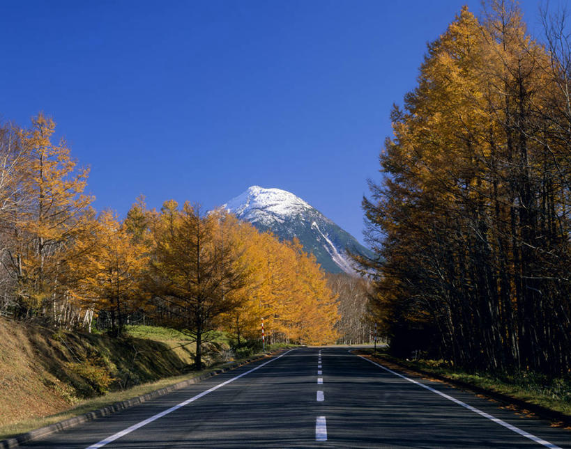 无人,公园,横图,室外,白天,正面,旅游,度假,美景,秋季,森林,山,树林,雪,雪山,植物,大雪,道路,路,公路,叶子,北海道,日本,亚洲,阴影,光线,影子,冰,积雪,景观,山峰,雪景,冬季,冬天,分界线,枯叶,落叶,停车线,交通,山峦,娱乐,树,树木,蓝色,绿色,蓝天,天空,阳光,自然,天,享受,休闲,景色,放松,寒冷,生长,晴朗,成长,车行道,车行道分界线,冰冷,国家公园,自然风光,标线,东亚,车行线,万里无云,日本国,北海道地方,北海道岛,严寒,冰凉,酷寒,凛冽,凛凛,极冷,知床半岛,知床国家公园,叶,叶片,晴空,晴空万里,秋,秋天,马路,彩图,鄂霍次克综合振兴局,斜里郡,斜里町,道东,网走支厅