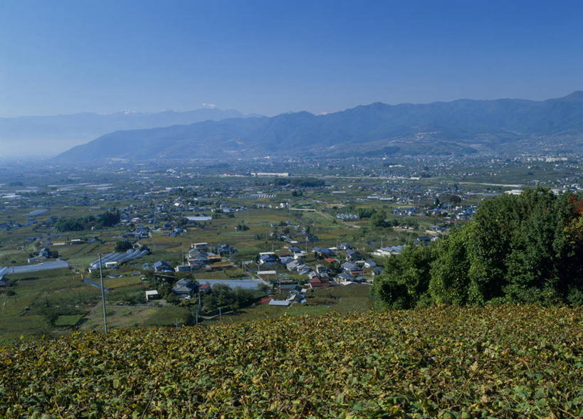 无人,家,果园,横图,室外,白天,正面,旅游,度假,草地,草坪,美景,山,山脉,树林,田园,植物,日本,亚洲,一排,许多,阴影,整齐,光线,影子,房屋,屋子,景观,山峰,山峦,娱乐,楼房,葡萄园,架子,住宅,草,树,树木,排列,蓝色,绿色,蓝天,天空,阳光,自然,庄园,群山,天,享受,休闲,景色,放松,生长,晴朗,成长,支撑,固定,队列,自然风光,葡萄架,东亚,本州,万里无云,本州岛,日本国,中部地方,山梨,山梨县,晴空,晴空万里,彩图,房子,甲州市,南阿尔卑斯山