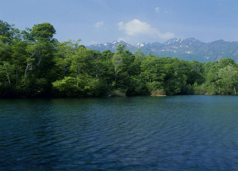 无人,横图,室外,白天,正面,旅游,度假,美景,森林,山,树林,雪,雪山,植物,大雪,长野县,日本,亚洲,阴影,波纹,光线,影子,冰,池塘,积雪,景观,山峰,水池,雪景,云,云朵,冬季,冬天,涟漪,山峦,云彩,娱乐,树,树木,蓝色,绿色,白云,蓝天,水纹,天空,阳光,自然,波浪,天,享受,休闲,景色,放松,寒冷,生长,晴朗,成长,冰冷,自然风光,东亚,本州,本州岛,日本国,中部地方,水晕,长野,严寒,冰凉,酷寒,凛冽,凛凛,极冷,北安,北安昙郡,晴空,彩图,小谷村