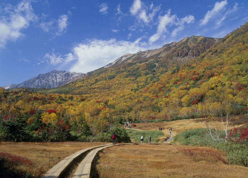 无人,横图,室外,白天,仰视,旅游,度假,美景,秋季,森林,山,山脉,树林,植物,道路,路,长野县,日本,亚洲,阴影,光线,影子,景观,山峰,云,云朵,小路,交通,山峦,云彩,娱乐,树,树木,蓝色,绿色,白云,蓝天,天空,阳光,自然,群山,天,享受,休闲,景色,放松,生长,晴朗,成长,自然风光,东亚,本州,本州岛,日本国,中部地方,长野,北安,北安昙郡,晴空,秋,秋天,彩图,低角度拍摄,小谷村