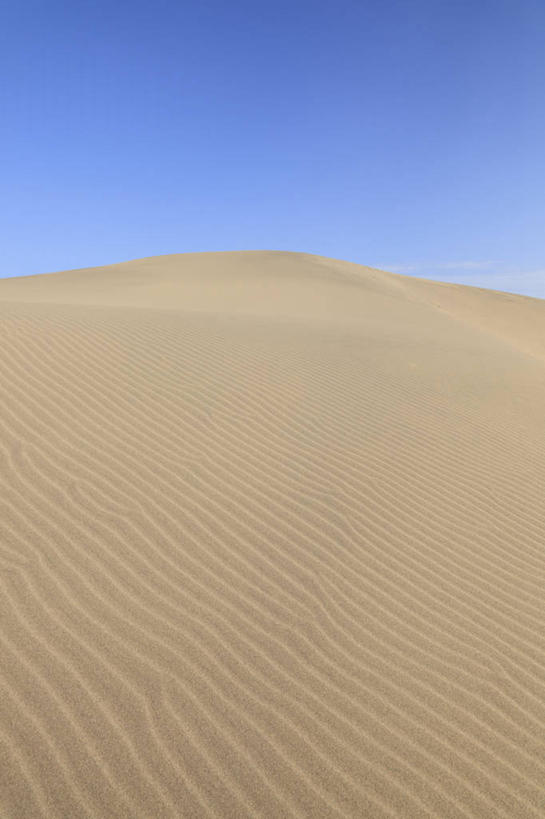 无人,竖图,室外,白天,正面,旅游,度假,美景,沙漠,日本,亚洲,阴影,光线,影子,景观,娱乐,黄色,蓝色,蓝天,天空,阳光,自然,天,享受,休闲,景色,放松,晴朗,自然风光,东亚,本州,万里无云,本州岛,日本国,中国地方,鸟取,鸟取沙丘,鸟取县,大漠,砂漠,晴空,晴空万里,彩图