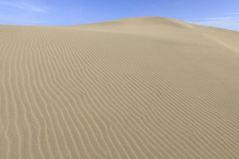 无人,横图,室外,白天,正面,旅游,度假,美景,沙漠,日本,亚洲,阴影,光线,影子,景观,云,云朵,云彩,娱乐,黄色,蓝色,白云,蓝天,天空,阳光,自然,天,享受,休闲,景色,放松,晴朗,自然风光,东亚,本州,本州岛,日本国,中国地方,鸟取,鸟取沙丘,鸟取县,大漠,砂漠,晴空,彩图