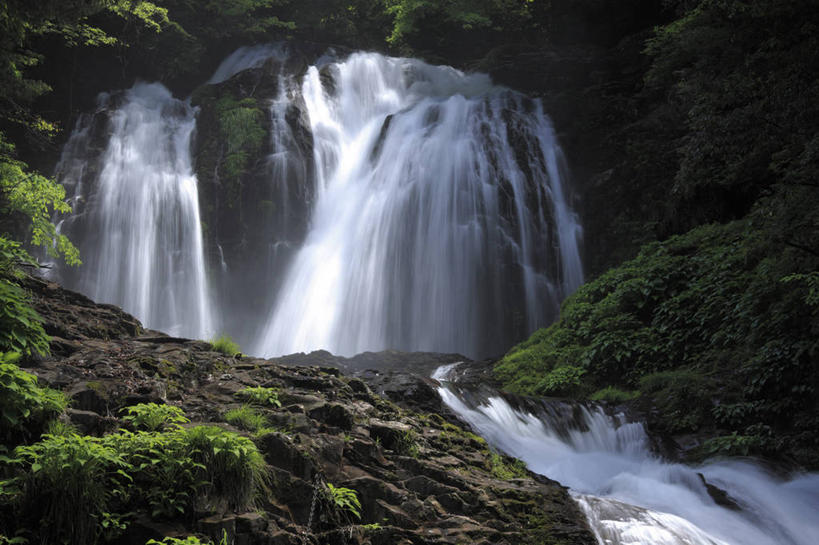无人,横图,室外,白天,正面,旅游,度假,美景,瀑布,森林,山,山脉,树林,水,植物,日本,亚洲,飞溅,溅,液体,景观,山峰,水滴,山峦,娱乐,水珠,树,树木,绿色,自然,群山,享受,休闲,景色,放松,生长,成长,喷洒,自然风光,东亚,本州,本州岛,日本国,中国地方,岛根,岛根县,跌水,彩图,云南市