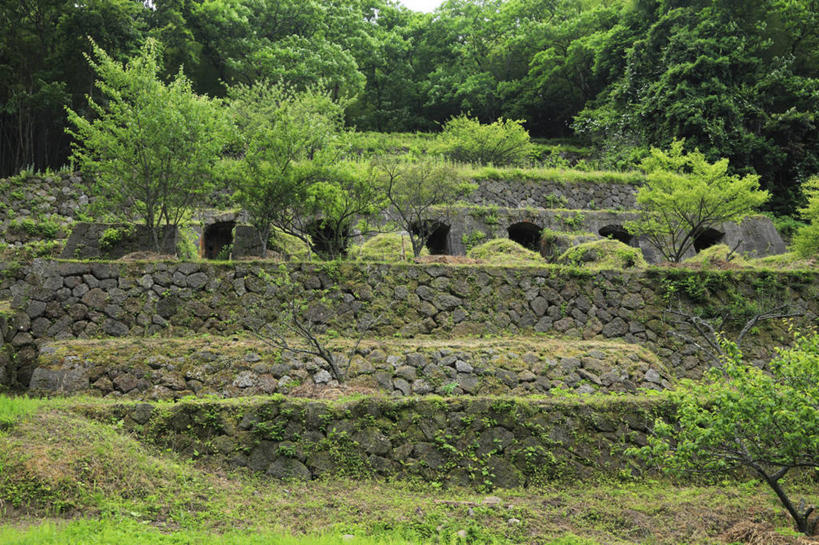 无人,横图,室外,白天,正面,旅游,度假,草地,草坪,石头,美景,树林,植物,日本,亚洲,阴影,光线,石子,影子,墙,景观,娱乐,废墟,墙壁,墙面,草,树,树木,绿色,阳光,自然,享受,休闲,景色,放松,生长,成长,自然风光,东亚,本州,本州岛,日本国,中国地方,大田市,岛根,岛根县,石块,岩石,彩图