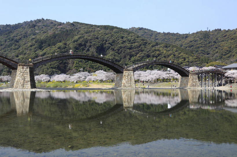 东方人,栏杆,走,横图,室外,白天,正面,旅游,度假,河流,森林,山,山脉,树林,水,植物,标志建筑,大桥,地标,建筑,立交桥,桥梁,日本,亚洲,行人,游客,游人,阴影,服装,光线,影子,河水,山峰,水流,高架,围栏,斜拉桥,桥,山峦,许多人,注视,休闲装,黄种人,娱乐,建设,护栏,路人,旅客,树,树木,衣服,蓝色,绿色,蓝天,天空,阳光,自然,群山,天,观察,看,一群人,享受,休闲,休闲服,旅游胜地,放松,服饰,生长,晴朗,成长,观看,察看,关注,东亚,本州,万里无云,本州岛,日本国,中国地方,山口,山口县,锦带桥,过客,男人,男性,年轻男性,年轻女性,女人,女性,亚洲人,晴空,晴空万里,步行,散步,走路,彩图,全身,岩国,岩国市