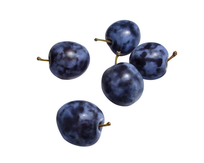 无人,横图,插画,室内,特写,白天,白色背景,正面,数码,科技,水果,五个,许多,阴影,新鲜,网络,生食,食品,果实,高光,几何,计算机图形,合成,图画,画,食物,紫色,有机食品,绿色食品,电脑合成图,数码合成图,合成图,漫画,西梅,写实,具体,具象,加州梅,彩图