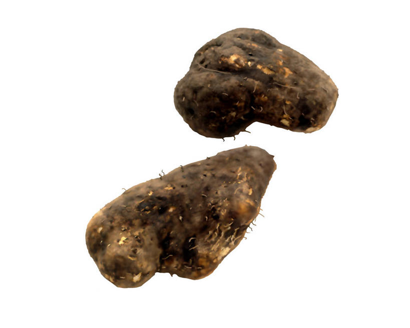 无人,横图,插画,室内,特写,白天,白色背景,正面,数码,科技,蔬菜,阴影,新鲜,网络,山药,食品,高光,几何,计算机图形,合成,图画,画,食物,两个,有机食品,绿色食品,电脑合成图,数码合成图,合成图,漫画,写实,具体,具象,薯蓣,怀山药,淮山药,玉延,山薯,彩图