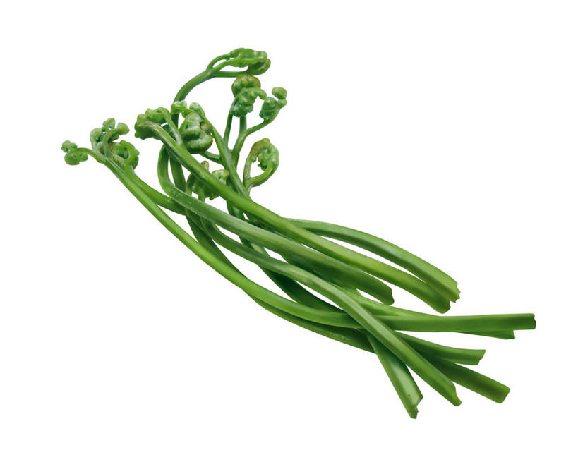 无人,横图,插画,室内,特写,白天,白色背景,正面,数码,科技,植物,蔬菜,阴影,新鲜,网络,食品,高光,几何,计算机图形,合成,图画,画,食物,绿色,自然,有机食品,绿色食品,生长,成长,蕨类,电脑合成图,数码合成图,合成图,蕨类植物,漫画,写实,具体,具象,欧洲蕨,彩图