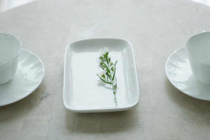 无人,坐,盘腿,横图,俯视,室内,特写,白天,餐桌,桌子,静物,杯子,盛开,瓷器,咖啡杯,陶瓷制品,花蕾,花,花瓣,花朵,鲜花,花苞,花蕊,餐台,瓷杯,盘腿而坐,盘膝,盘着腿的,盘着腿坐,双腿交叉,坐着,彩图,高角度拍摄