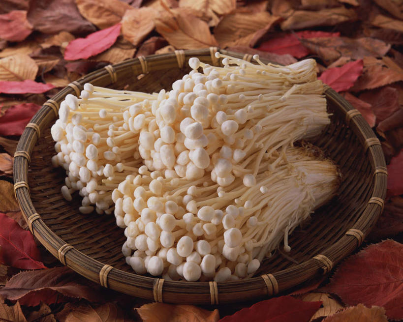 无人,交叉,横图,俯视,室内,特写,白天,餐桌,桌子,竹子,蔬菜,叶子,一堆,许多,堆叠,堆积,竹制,新鲜,编织,篮子,菌菇,蘑菇,食品,枯叶,落叶,很多,菌类,食物,白色,竹篮,食用菌,有机食品,绿色食品,餐台,竹条,堆,交织,竹制品,穿插,伞菌,蟹味菇,斑玉蕈,荷叶离褶伞,玉蕈,真姬菇,叶,叶片,彩图,高角度拍摄