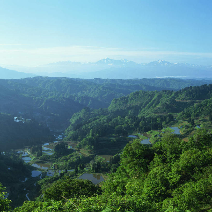 无人,农田,方图,俯视,室外,白天,旅游,度假,庄稼,梯田,农作物,美景,山,山脉,树林,植物,日本,亚洲,阴影,曲折,弯曲,光线,影子,景观,山峰,山峦,娱乐,树,树木,蓝色,绿色,蓝天,天空,阳光,自然,群山,天,享受,休闲,景色,放松,蜿蜒,生长,晴朗,成长,自然风光,东亚,本州,万里无云,本州岛,日本国,中部地方,新潟,新潟县,长冈市,晴空,晴空万里,彩图,高角度拍摄,耕地,庄稼田