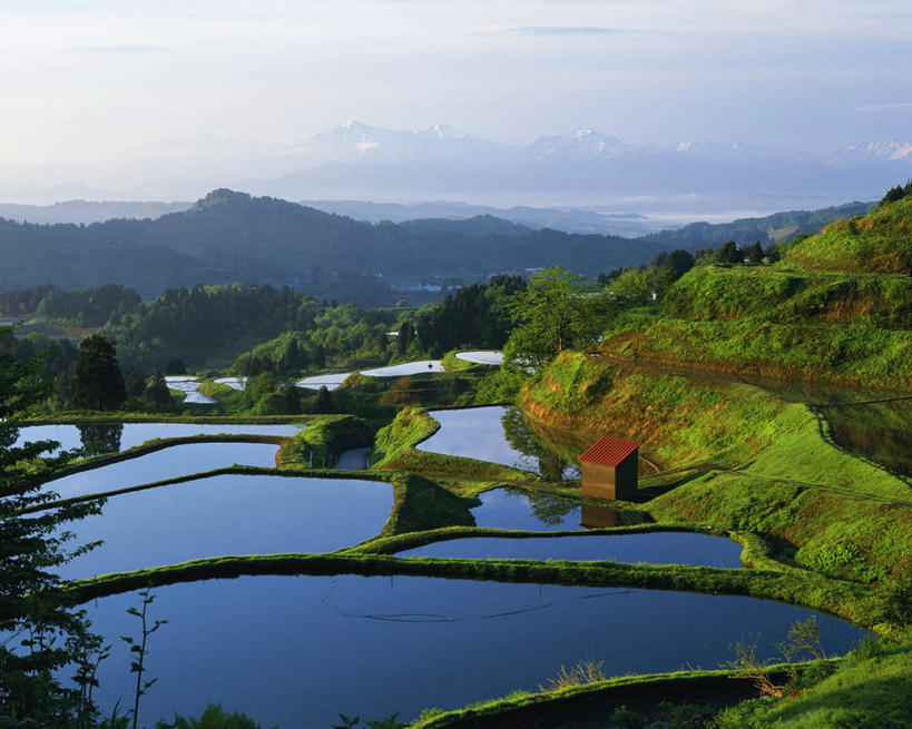 无人,农田,横图,俯视,室外,白天,旅游,度假,庄稼,梯田,农作物,美景,山,山脉,树林,雪,植物,大雪,日本,亚洲,阴影,曲折,弯曲,光线,影子,积雪,景观,山峰,雪景,冬季,冬天,山峦,娱乐,树,树木,蓝色,绿色,蓝天,天空,阳光,自然,群山,天,享受,休闲,景色,放松,寒冷,蜿蜒,生长,晴朗,成长,自然风光,东亚,本州,万里无云,本州岛,日本国,中部地方,新潟,新潟县,严寒,长冈市,晴空,晴空万里,彩图,高角度拍摄,耕地,庄稼田