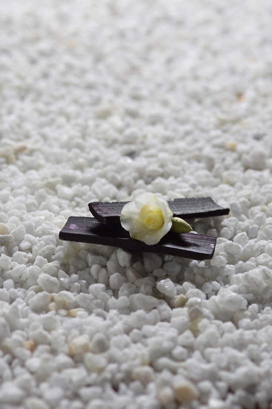 无人,坐,盘腿,竖图,俯视,室外,特写,白天,石头,盛开,石子,花蕾,花,花瓣,花朵,鲜花,一朵,白色,花苞,花蕊,鹅卵石,玉茗花,耐冬,海石榴,曼陀罗,茶花,石块,盘腿而坐,盘膝,盘着腿的,盘着腿坐,双腿交叉,坐着,彩图,高角度拍摄