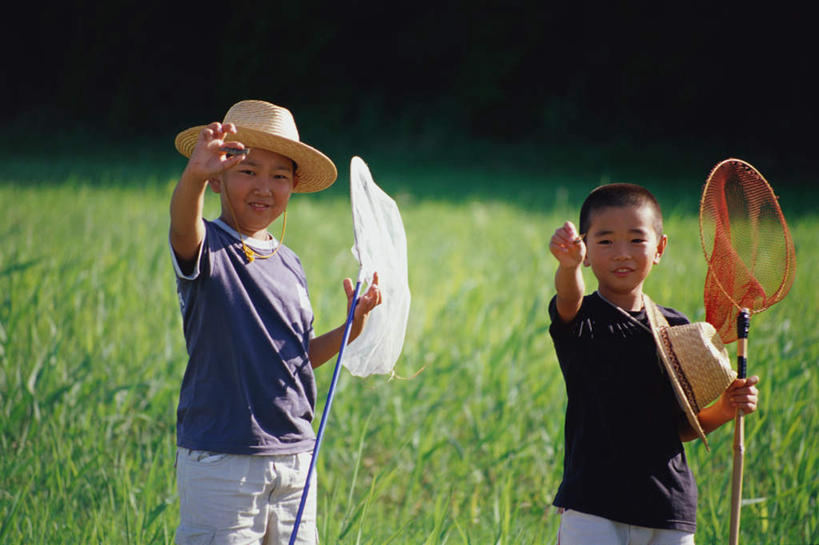东方人,儿童,两个人,伙伴,朋友,站,横图,室外,白天,正面,友谊,纯洁,草地,草坪,植物,帽子,亚洲,戴,服装,昆虫,蚱蜢,草帽,捕虫网,拿,拿着,注视,休闲装,黄种人,草,小孩,衣服,绿色,观察,看,站着,休闲,休闲服,可爱,童年,童趣,服饰,观看,扫网,戴着,察看,关注,童真,烂漫,无邪,扑网,天真,友情,男孩,男人,男性,亚洲人,站立,半身,彩图,男生