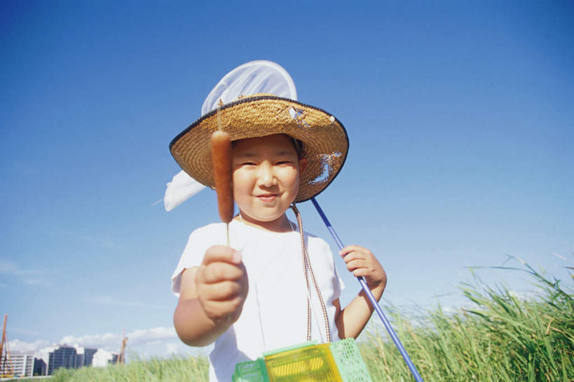 东方人,儿童,一个人,站,横图,室外,白天,正面,纯洁,帽子,亚洲,仅一个男性,仅一个人,戴,服装,草帽,捕虫网,拿,拿着,注视,休闲装,黄种人,肉肠,小孩,衣服,蓝色,蓝天,天空,天,观察,看,站着,仅一个小孩,休闲,休闲服,可爱,童年,童趣,服饰,观看,扫网,水网,戴着,察看,关注,童真,烂漫,无邪,扑网,天真,男孩,男人,男性,亚洲人,孩子,站立,半身,彩图,男生