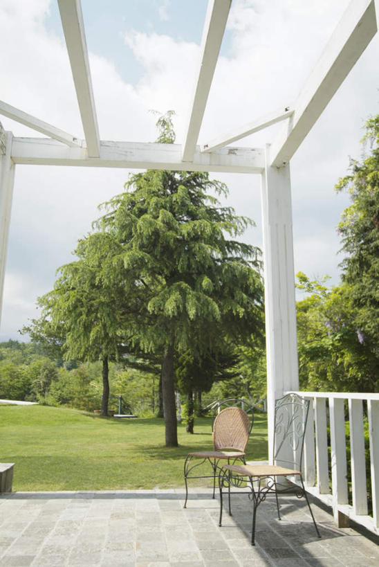 无人,栏杆,竖图,室外,白天,正面,草地,草坪,植物,云,云朵,围栏,云彩,护栏,草,树,树木,蓝色,绿色,白云,蓝天,天空,自然,天,生长,成长,彩图