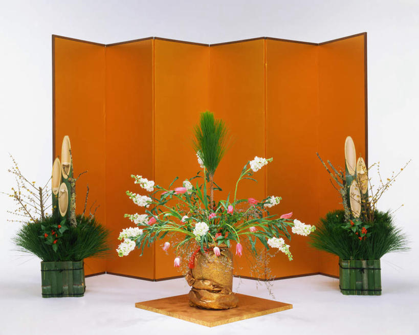 无人,横图,室内,特写,白天,白色背景,正面,智慧,植物,屏风,艺术,盛开,盆栽,盆景,花蕾,文化,花,花瓣,花朵,鲜花,绿色,自然,插花,花苞,花蕊,摄影,影棚,生长,成长,插花艺术,创造,创作,想象,彩图,影棚拍摄,拍摄