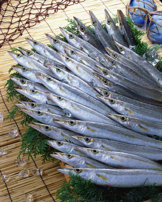 海鲜,无人,竖图,俯视,室内,特写,白天,餐桌,桌子,叶子,一排,阴影,整齐,装饰,光线,鱼,影子,冰,冰块,绿叶,冷冻,水产,鱼类,海洋生物,排列,嫩叶,寒冷,冷藏,餐台,华丽,修饰,点缀,冰冷,队列,水生动物,海产品,水生物,海底动物,梭子鱼,衬托,美观,雅致,雅观,保鲜,海狼鱼,金梭鱼,梭鱼,叶,叶片,彩图,高角度拍摄