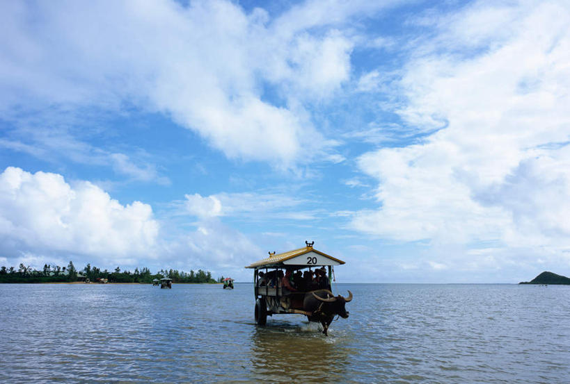 无人,横图,室外,白天,正面,海浪,海洋,日本,亚洲,浪花,云,云朵,云彩,牛车,冲绳,车,蓝色,白云,蓝天,天空,海水,交通工具,天,冲绳县,海景,东亚,琉球群岛,日本国,九州地方,大海,风浪,海,海水的波动,近岸浪,涌浪,彩图