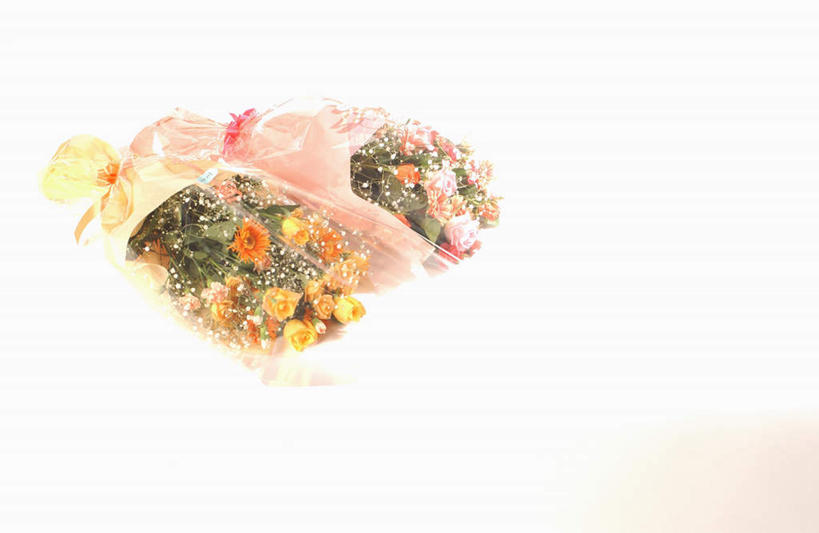 无人,横图,俯视,室内,白天,白色背景,爱情,幸福,纯洁,热情,玫瑰,盛开,玫瑰花,浪漫,花蕾,两束,花,花瓣,花朵,鲜花,花束,花苞,花蕊,温暖,温馨,恩爱,摄影,影棚,和睦,感动,尊敬,天真,刺玫花,徘徊花,彩图,高角度拍摄,影棚拍摄,拍摄,融洽