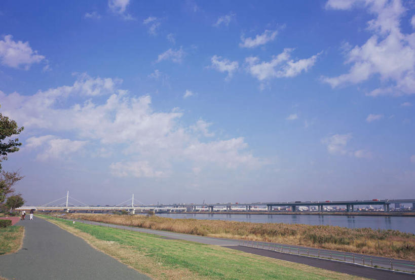 无人,横图,室外,白天,正面,大桥,立交桥,桥梁,东京,日本,亚洲,水面,云,云朵,高架,斜拉桥,桥,车辆,枯黄,交通,云彩,蓝色,绿色,白云,蓝天,天空,绿地,绿化带,天,晴朗,东亚,本州,关东地方,本州岛,日本国,东京都,晴空,彩图