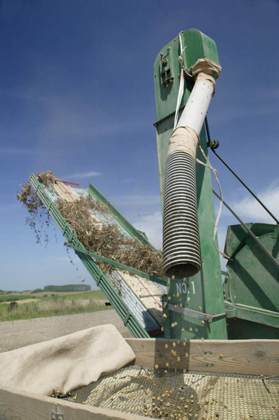 无人,农田,竖图,室外,白天,仰视,旅游,度假,庄稼,草地,草坪,美景,植物,阴影,光线,影子,景观,云,云朵,云彩,娱乐,草,蓝色,绿色,白云,蓝天,天空,阳光,自然,天,享受,休闲,景色,放松,自然风光,收割机,联合收割机,彩图,低角度拍摄,耕地,庄稼田