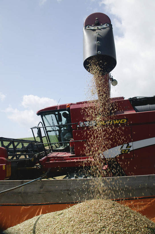 无人,竖图,室外,白天,仰视,旅游,度假,小麦,美景,一堆,阴影,堆叠,堆积,光线,影子,景观,云,云朵,云彩,娱乐,车,蓝色,白云,蓝天,天空,阳光,自然,交通工具,天,享受,休闲,景色,放松,堆,自然风光,收割机,联合收割机,彩图,低角度拍摄