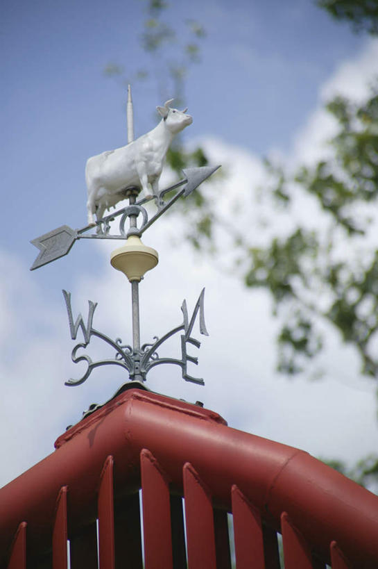 无人,竖图,室外,白天,仰视,旅游,度假,美景,植物,风向标,风向袋,雕塑,北海道,日本,亚洲,雕刻,雕像,景观,云,云朵,云彩,娱乐,树,树木,蓝色,绿色,白云,蓝天,天空,自然,天,享受,休闲,景色,放松,生长,成长,自然风光,东亚,日本国,北海道地方,北海道岛,风标,彩图,低角度拍摄