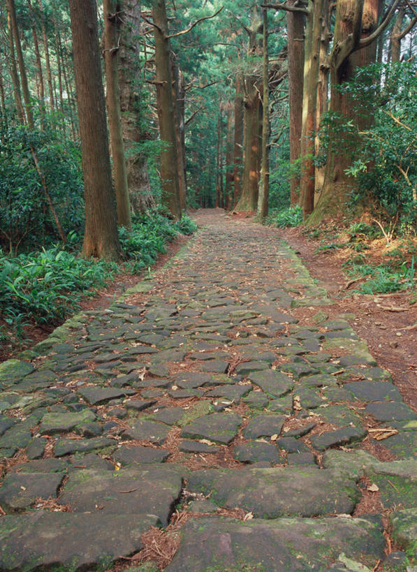 无人,竖图,室外,白天,正面,旅游,度假,美景,森林,树林,植物,道路,路,日本,亚洲,景观,小路,交通,娱乐,树,树木,绿色,自然,享受,休闲,景色,放松,生长,成长,自然风光,东亚,本州,本州岛,日本国,近畿地方,近畿,和歌山,和歌山县,彩图