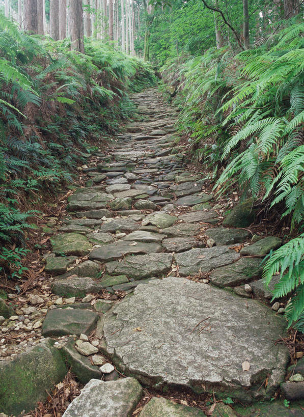 无人,竖图,室外,白天,正面,旅游,度假,美景,森林,树林,植物,道路,路,日本,亚洲,景观,小路,交通,娱乐,树,树木,绿色,自然,享受,休闲,景色,放松,生长,成长,自然风光,东亚,本州,本州岛,日本国,近畿地方,近畿,和歌山,和歌山县,彩图