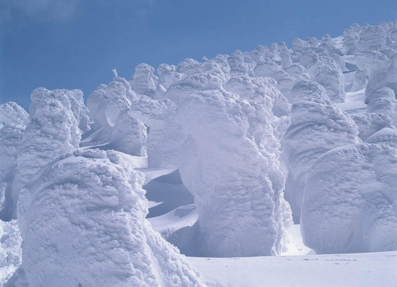 无人,横图,室外,白天,正面,旅游,度假,美景,雪,植物,大雪,日本,亚洲,积雪,景观,雪景,冬天,娱乐,树,树木,蓝色,蓝天,天空,自然,天,享受,休闲,景色,放松,生长,成长,自然风光,东亚,本州,本州岛,日本国,东北地方,山形,山形县,彩图