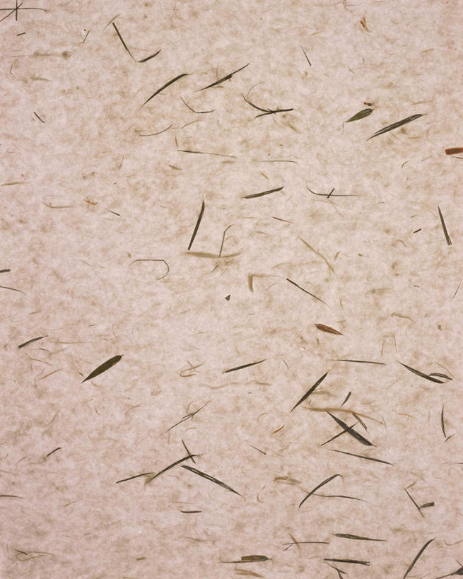 无人,竖图,俯视,室内,特写,白天,静物,叶子,花纹,装饰,纹路,图案,纹理,谷类,谷物,糯米,绿叶,米,大米,灰色,嫩叶,华丽,修饰,点缀,肌理,衬托,美观,雅致,雅观,江米,糯米纸,叶,叶片,彩图,高角度拍摄