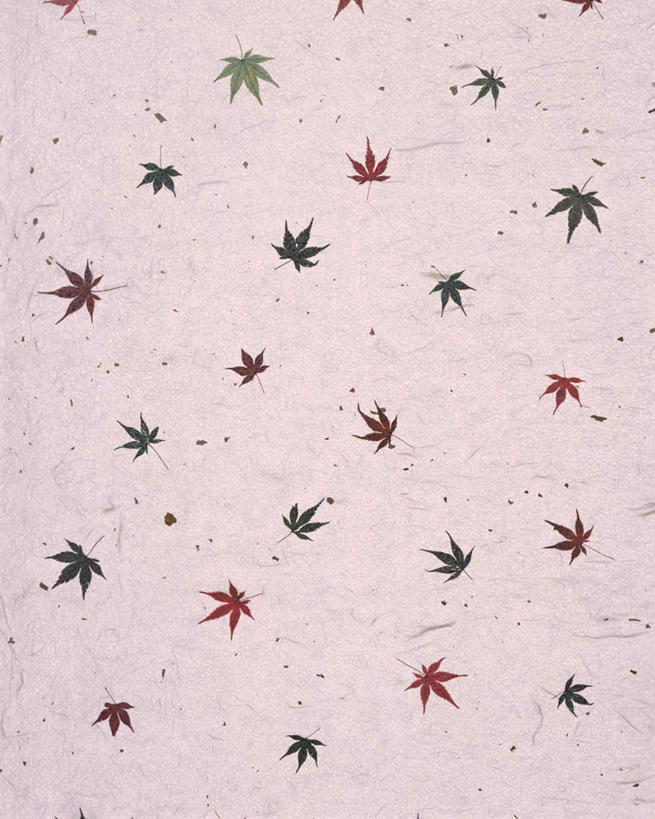 无人,竖图,俯视,室内,特写,白天,静物,叶子,花纹,装饰,纹路,图案,纹理,谷类,谷物,糯米,绿叶,米,大米,嫩叶,华丽,修饰,点缀,肌理,衬托,美观,雅致,雅观,江米,糯米纸,叶,叶片,彩图,高角度拍摄