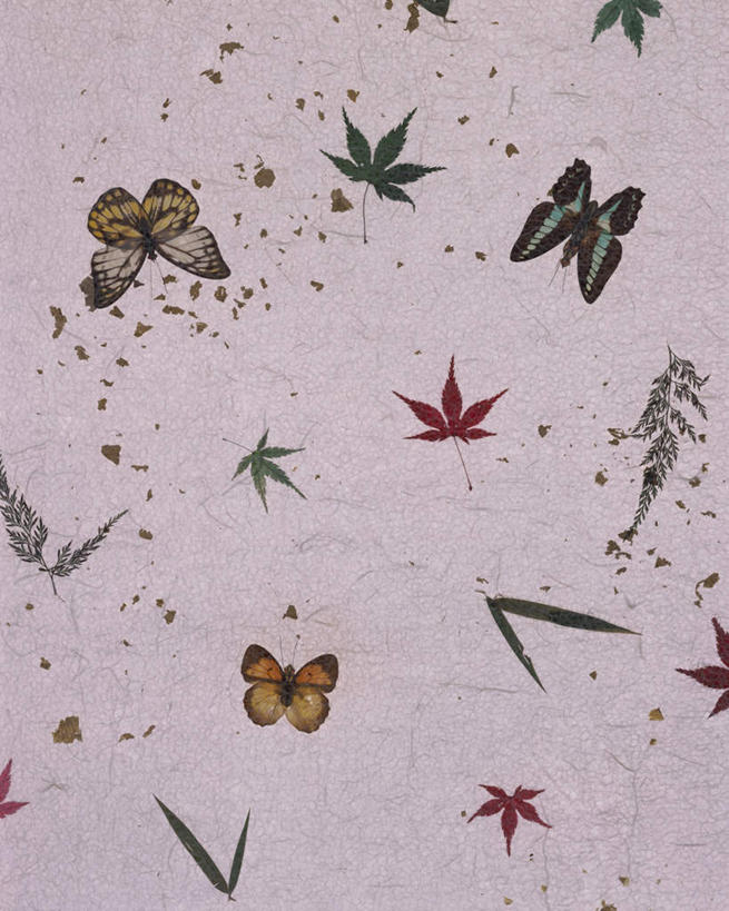 无人,竖图,俯视,室内,特写,白天,蝴蝶,静物,叶子,花纹,装饰,纹路,昆虫,图案,纹理,谷类,谷物,糯米,绿叶,米,大米,动物,嫩叶,华丽,修饰,点缀,益虫,肌理,衬托,美观,雅致,雅观,江米,糯米纸,叶,叶片,彩图,高角度拍摄