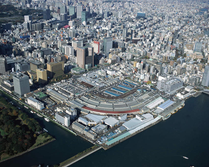 无人,高楼大厦,横图,俯视,航拍,室外,白天,度假,草地,草坪,海浪,海洋,美景,植物,城市风光,城市,大桥,大厦,道路,建筑,立交桥,路,摩天大楼,桥梁,公路,汽车,东京,日本,亚洲,波纹,飞溅,溅,液体,景观,浪花,高架,斜拉桥,桥,游艇,交通,娱乐,游轮,车,草,树,树木,绿色,水纹,自然,海水,船尾波,交通工具,轿车,波浪,享受,休闲,景色,放松,生长,成长,鸟瞰,喷洒,海景,东亚,本州,关东地方,本州岛,日本国,东京都,筑地,筑地市场,大海,风浪,海,海水的波动,近岸浪,涌浪,马路,彩图,高角度拍摄,大楼,高层建筑,高楼,摩天楼