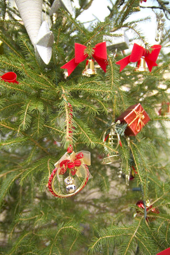 无人,竖图,室内,特写,白天,正面,植物,礼盒,礼物,圣诞节,节日,庆祝,铃铛,纸盒,圣诞树,文化,圣诞快乐,绸带,盒子,装饰品,树,树木,绿色,自然,包装盒,蝴蝶结,礼品盒,工艺品,庆典,礼品,生长,成长,纪念,彩图