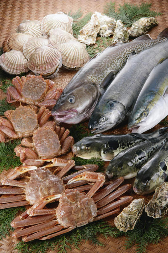 海鲜,蟹,无人,竖图,俯视,室内,特写,白天,烹饪,餐桌,桌子,鲑鱼,热带鱼,一排,许多,整齐,螃蟹,贝类,日本料理,料理,食品,牡蛎,水产,菜肴,美食,食物,排列,日式料理,日式,佳肴,餐台,海草,海贝,河豚,河豚鱼,生蚝,队列,海产品,鳕鱼,鲀鱼,大斑刺鲀,河鲀,海产,半身,彩图,高角度拍摄