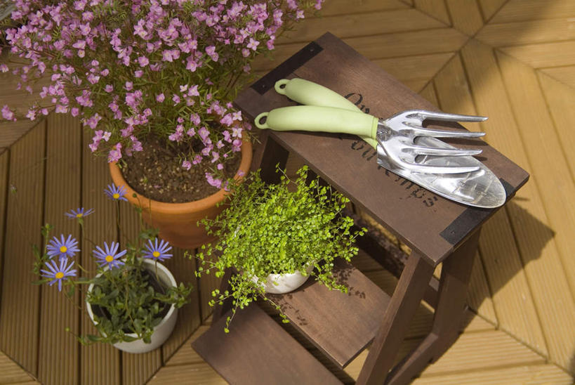 无人,横图,俯视,室外,白天,植物,金属制品,阴影,盛开,光线,金属,铲子,工具,盆栽,影子,园艺,盆景,花蕾,花,花瓣,花朵,鲜花,绿色,紫色,阳光,自然,花苞,花蕊,生长,成长,挖掘,农具,耕具,开掘,发掘,开垦,彩图,高角度拍摄