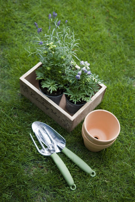 无人,竖图,俯视,室外,白天,草地,草坪,植物,椅子,金属制品,盛开,金属,铲子,工具,盆栽,桶,木椅,园艺,盆景,花蕾,草,花,花瓣,花朵,鲜花,绿色,自然,容器,花苞,花蕊,四个,生长,成长,储藏,挖掘,耙,储存,农具,耕具,开掘,发掘,开垦,彩图,高角度拍摄,贮存