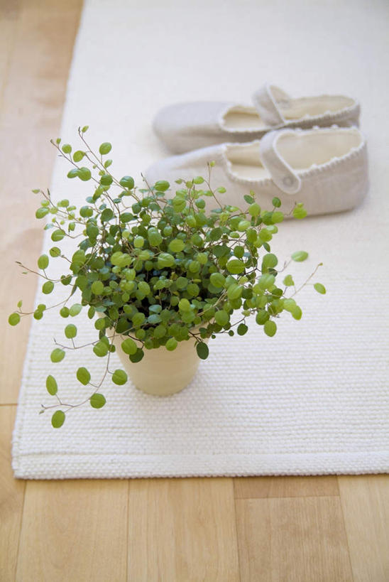 无人,家,竖图,俯视,室内,白天,植物,地板,家具,装修,建筑,一双,装饰,盆栽,房屋,屋子,公寓,盆景,地面,建设,装潢,楼房,木地板,住宅,绿色,白色,自然,室内装潢,生长,成长,跑鞋,明亮,舒适,家居装潢,房屋设计,室内设计,宽敞,样板房装潢,设计,彩图,高角度拍摄,房子