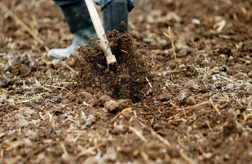 东方人,一个人,农民,农田,站,横图,俯视,室外,特写,白天,庄稼,鞋子,金属制品,亚洲,仅一个男性,仅一个人,弯腰,服装,金属,工具,雨鞋,雨靴,黄种人,靴子,衣服,站着,仅一个老年男性,服饰,挖掘,锄,锄头,衣着,穿着,胶鞋,农具,耕具,衣饰,开掘,发掘,开垦,老年男性,女人,女性,亚洲人,佃农,农场主,农夫,农工,乡下人,小农,庄稼人,彩图,高角度拍摄,全身,耕地,庄稼田