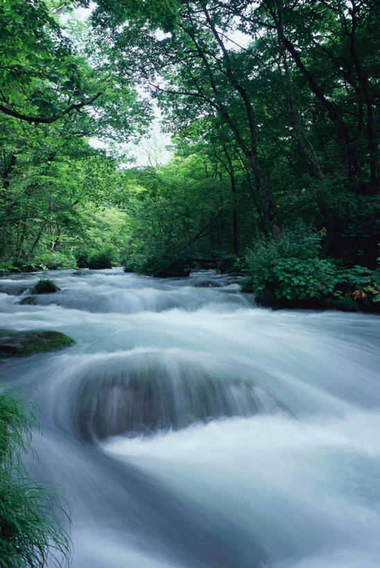 无人,竖图,室外,白天,正面,旅游,度假,河流,石头,美景,瀑布,树林,水,植物,叶子,日本,亚洲,阴影,飞溅,溅,光线,石子,液体,影子,草丛,河水,景观,水流,娱乐,花,花瓣,花朵,鲜花,树,树木,绿色,阳光,自然,享受,休闲,景色,放松,生长,成长,宁静,喷洒,自然风光,东亚,本州,本州岛,日本国,青森,青森县,东北地方,奥入濑町,奥入濑溪流,跌水,石块,岩石,彩图