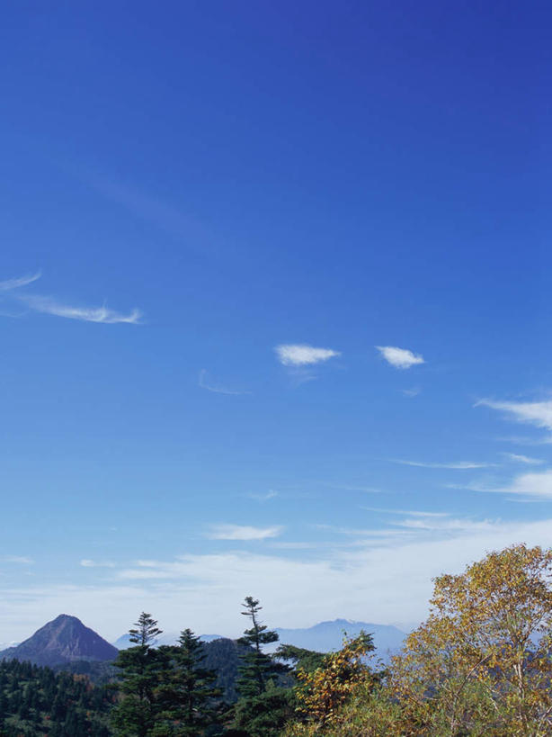 无人,竖图,室外,白天,正面,旅游,度假,美景,山,山脉,树林,植物,长野县,日本,亚洲,景观,山峰,云,云朵,山峦,云彩,娱乐,树,树木,蓝色,绿色,白云,蓝天,天空,自然,群山,天,享受,休闲,景色,放松,白桦,生长,晴朗,成长,自然风光,东亚,本州,本州岛,日本国,中部地方,长野,志贺高原,晴空,桦树,桦皮树,桦木,彩图